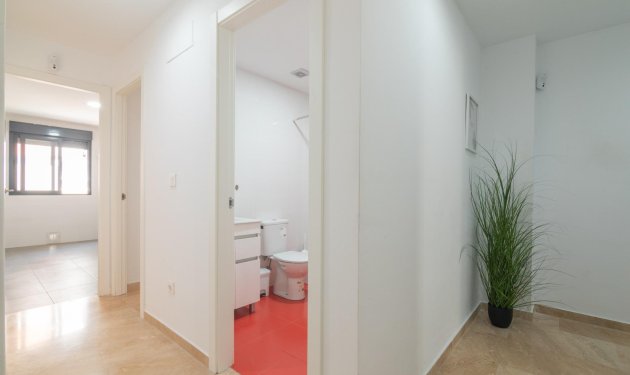 Resale - Piso - Elche - Altabix