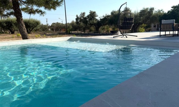 Resale - Chalet - Elche Pedanías - Alzabares