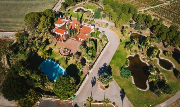 Resale - Finca rústica - Novelda - SERRETA