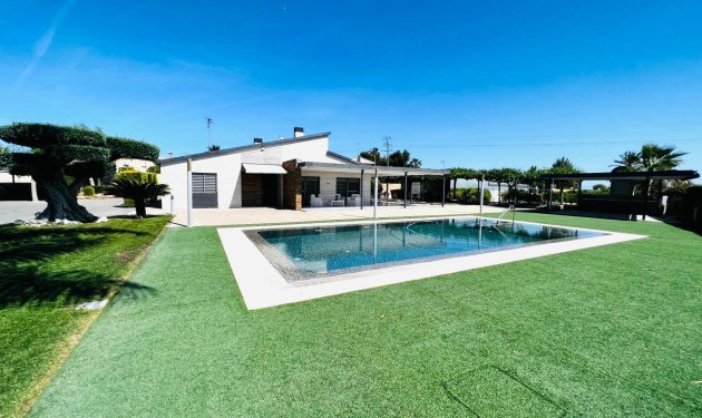 Long Term Rental - Chalet - Elche Pedanías - Matola