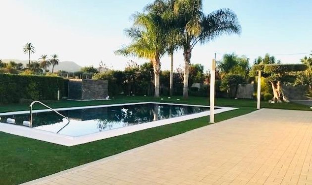 Long Term Rental - Chalet - Elche Pedanías - Matola