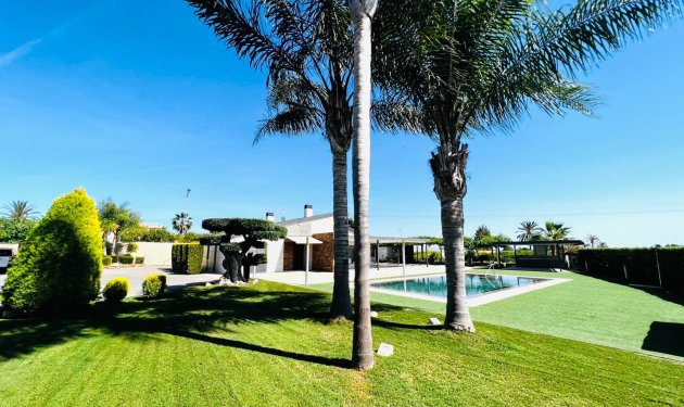 Long Term Rental - Chalet - Elche Pedanías - Matola