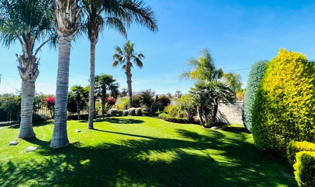 Long Term Rental - Chalet - Elche Pedanías - Matola