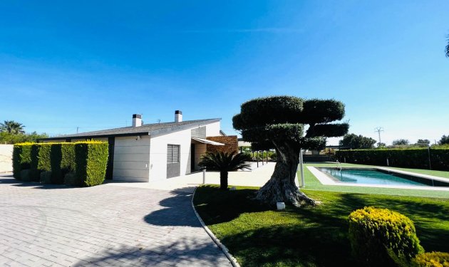 Long Term Rental - Chalet - Elche Pedanías - Matola