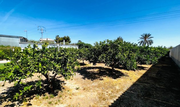 Long Term Rental - Chalet - Elche Pedanías - Matola
