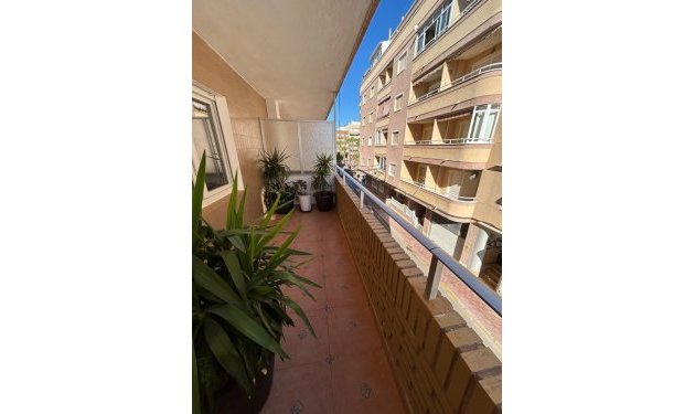 Odsprzedaż - Apartamento - Torrevieja - torrevieja