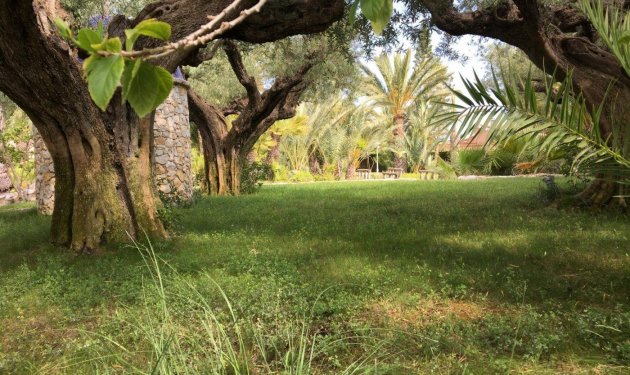 Resale - Chalet - Valverde (Alicante) - Valverde