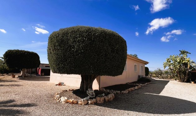 Resale - Chalet - Jacarilla