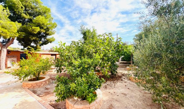 Resale - Chalet - Elche - La Galia-Bonavista