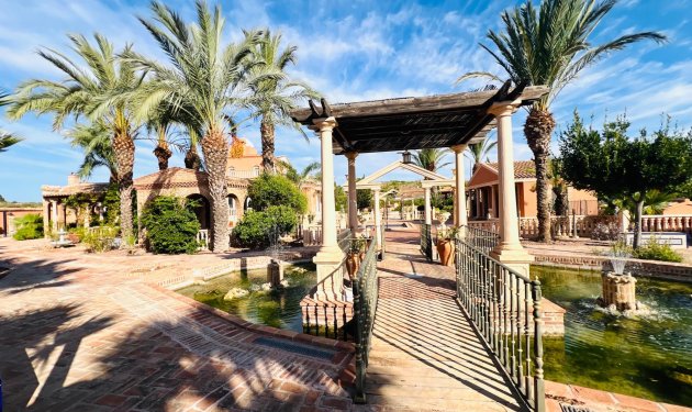 Resale - Chalet - Elche - La Galia-Bonavista