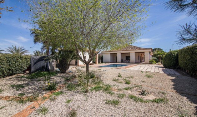 Resale - Chalet - Elche Pedanías - Valverde