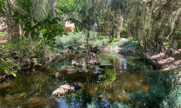 Resale - Chalet - Elche Pedanías - Alzabares