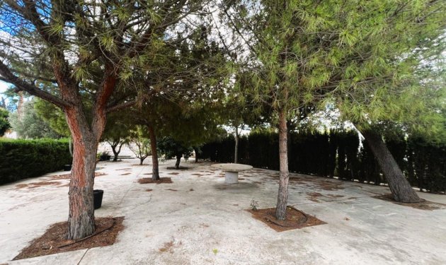 Resale - Chalet - Elche - La Galia-Bonavista