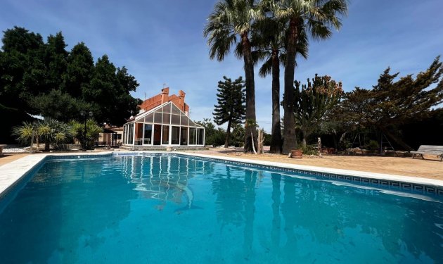 Resale - Chalet - Elche Pedanías - Alzabares