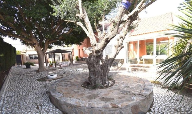Resale - Chalet - Elche Pedanías - Alzabares