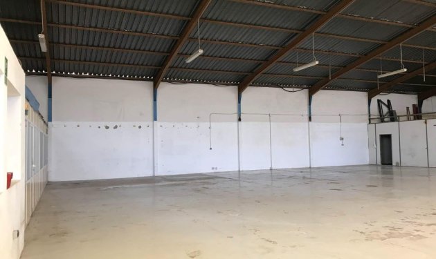 Resale - Nave industrial - Alicante - Ciudad de Asís - Font-Calent - El Bacarot