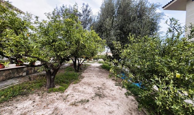 Odsprzedaż - Szalet - Elche - Ciudad Jardin