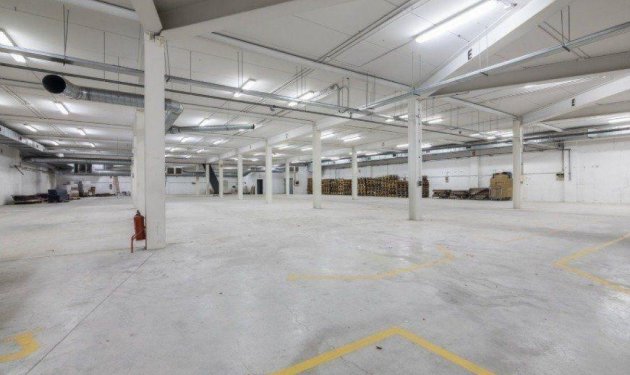 Resale - Nave industrial - Elche Pedanías - Jubalcoi-Saladas