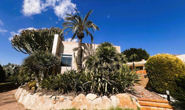 Resale - Chalet - Elche - Bonavista