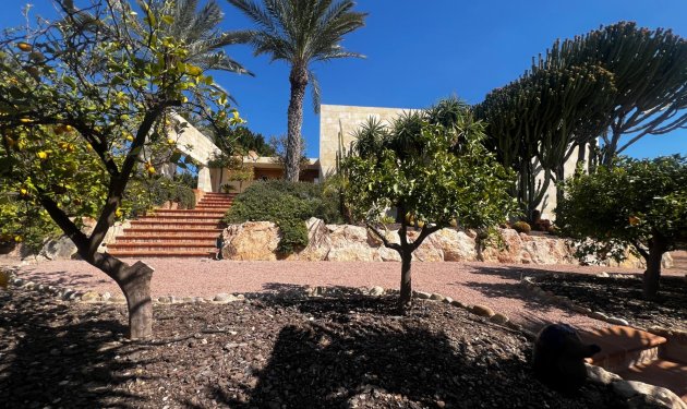 Resale - Chalet - Elche - Bonavista