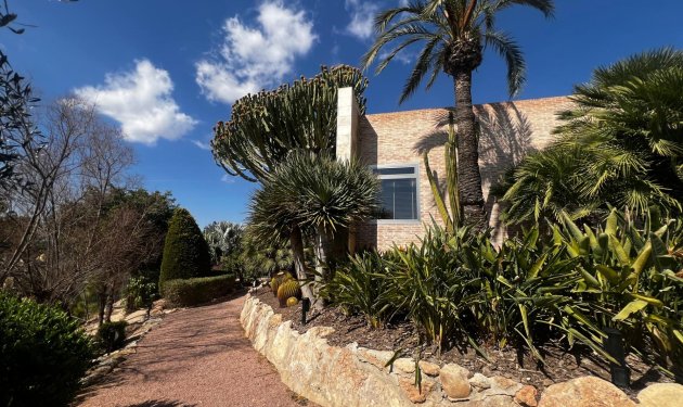 Resale - Chalet - Elche - Bonavista