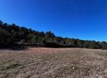 Resale - Finca rústica - Bocairent - Sierra de Mariola