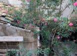 Resale - Edificio - Elche - Centro
