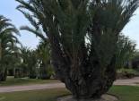 Resale - Chalet - Valverde (Alicante) - Valverde