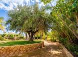 Herverkoop - Chalet - Elche Pedanías - Carretera santa pola