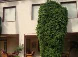 Resale - Chalet - Elche Pedanías - Alzabares