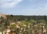 Resale - Piso - Elche - Centro