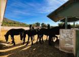 Resale - Finca rústica - Novelda - SERRETA