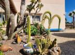 Resale - Chalet - Jacarilla