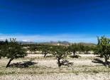 Resale - Finca rústica - Monovar - Monover - Beties