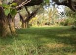 Resale - Chalet - Valverde (Alicante) - Valverde
