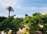 Resale - Chalet - Elche Pedanías - Maitino-Perleta
