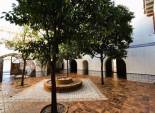 Resale - Finca rústica - Novelda - SERRETA