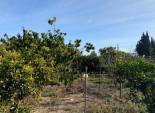 Resale - Chalet - Elche Pedanías - Alzabares