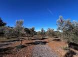 Resale - Finca rústica - Bocairent - Sierra de Mariola
