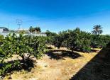Long Term Rental - Chalet - Elche Pedanías - Matola