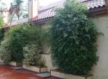 Resale - Chalet - Elche Pedanías - Alzabares