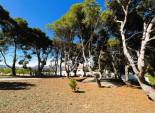 Resale - Finca rústica - Monovar - Monover - Beties