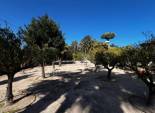 Resale - Chalet - Elche Pedanías - Maitino