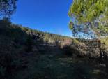 Resale - Finca rústica - Bocairent - Sierra de Mariola
